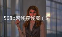 568b網線接線圖（568b）