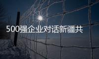 500強企業對話新疆共助“八大產業集群”建設