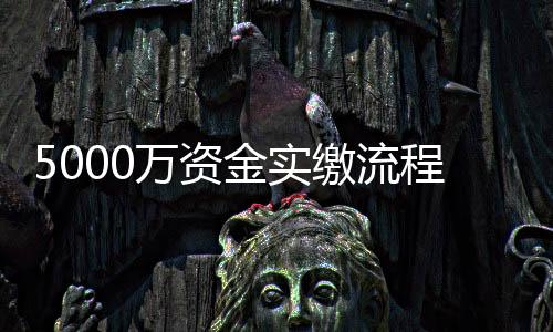 5000萬資金實繳流程及費用