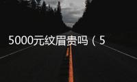 5000元紋眉貴嗎（500的紋眉成本要多少錢）