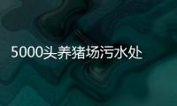 5000頭養豬場污水處理設備講解