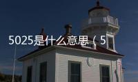 5025是什么意思（502代表什么意思）