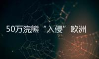 50萬(wàn)浣熊“入侵”歐洲，“生態(tài)害獸”泛濫難解