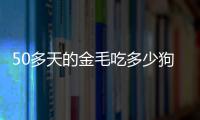 50多天的金毛吃多少狗糧(50天的金毛一次喂多少)