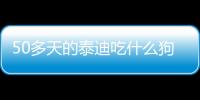 50多天的泰迪吃什么狗糧好？50多天的泰迪吃什么食物