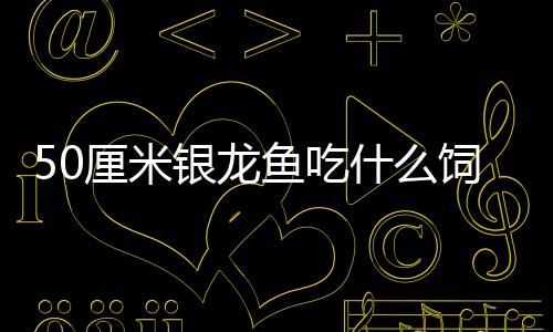 50厘米銀龍魚吃什么飼料最好？30cm銀龍吃多大的魚