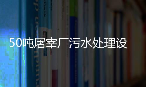 50噸屠宰廠污水處理設備