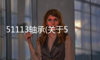 51113軸承(關(guān)于51113軸承簡述)