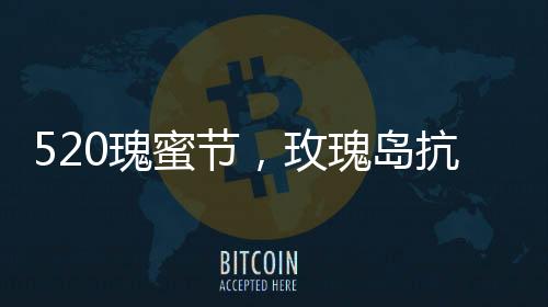 520瑰蜜節，玫瑰島抗菌衛浴中國行上海站甜蜜出發