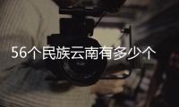 56個民族云南有多少個民族（云南有多少個民族）
