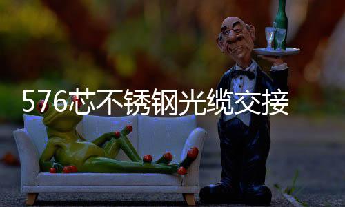 576芯不銹鋼光纜交接箱（價格報價參數）