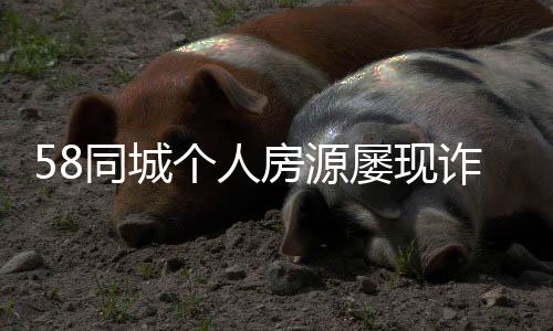 58同城個人房源屢現(xiàn)詐騙 前端監(jiān)管需更徹底