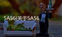5A56(關于5A56簡述)