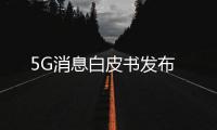5G消息白皮書發布