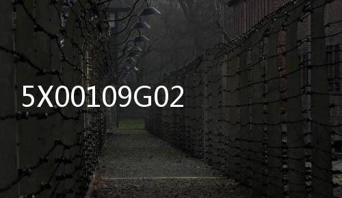 5X00109G02 西屋模塊