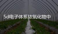 5d電子體系銥氧化物中的自旋