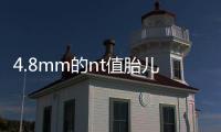 4.8mm的nt值胎兒畸形風險評估：囊瘤積液都要考慮