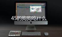 45的狗狗吃什么