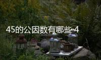 45的公因數(shù)有哪些 45的因數(shù)有哪些