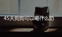 45天狗狗可以喝什么奶