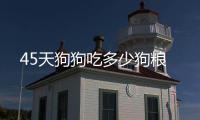 45天狗狗吃多少狗糧