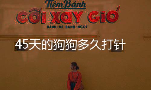 45天的狗狗多久打針