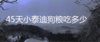 45天小泰迪狗糧吃多少克合適(45天小泰迪吃幾粒)
