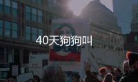 40天狗狗叫