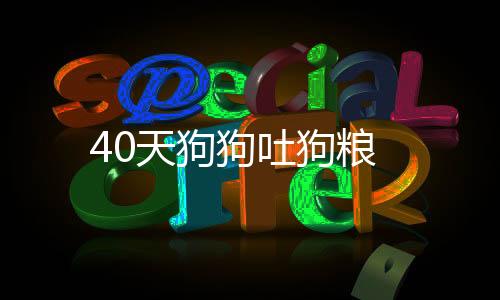 40天狗狗吐狗糧
