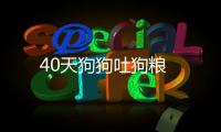 40天狗狗吐狗糧