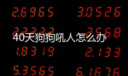 40天狗狗吼人怎么辦