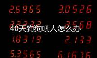 40天狗狗吼人怎么辦