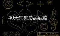 40天狗狗總舔屁股