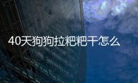 40天狗狗拉粑粑干怎么回事啊
