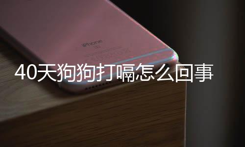 40天狗狗打嗝怎么回事啊
