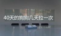 40天的狗狗幾天拉一次