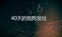 40天的狗狗發(fā)吐
