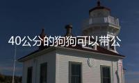 40公分的狗狗可以帶公交上么