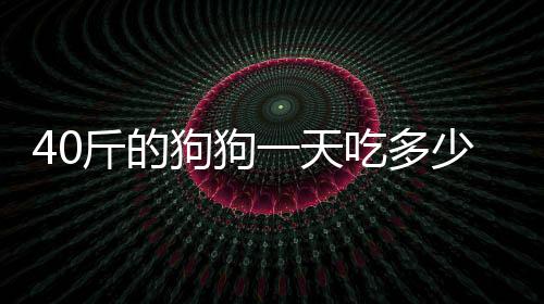 40斤的狗狗一天吃多少窩頭