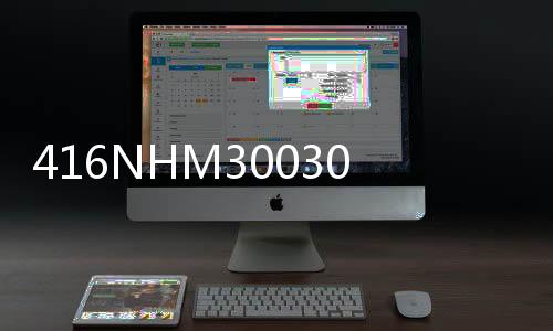 416NHM30030A