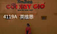 4119A  英維思  模塊
