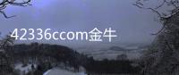 42336ccom金牛版網站