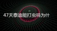 47天泰迪能打蟲嗎為什么(40天泰迪可以打疫苗嗎)