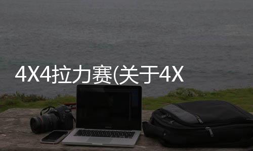 4X4拉力賽(關于4X4拉力賽簡述)