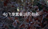 4g飛享套餐18元有多少流量（4g飛享套餐18元）