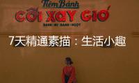 7天精通素描：生活小趣(關于7天精通素描：生活小趣簡述)