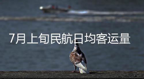 7月上旬民航日均客運量創歷史新高，東南亞成最火海外目的地
