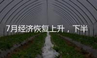 7月經(jīng)濟(jì)恢復(fù)上升，下半年經(jīng)濟(jì)怎么干?