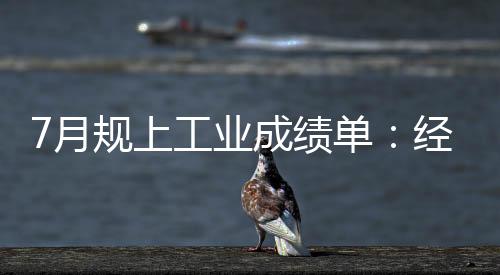 7月規上工業成績單：經濟結構改善明顯，“洪災+疫情”致部分指標下滑