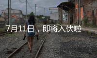 7月11日，即將入伏啦！哪天入伏，是咋定的？